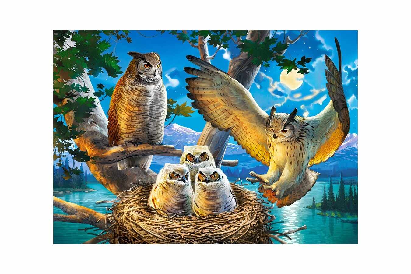 Puzzle Castorland - Owl Family, 500 piese (53322)