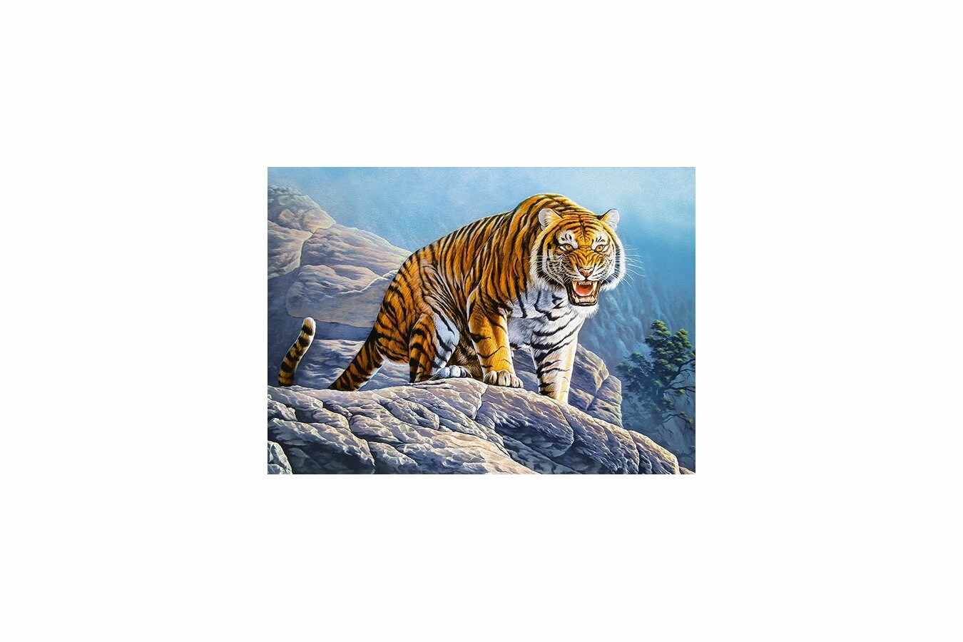 Puzzle Castorland - Tiger on the Rock, 180 piese (018451)